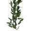 Guirlande d'eucalyptus 60 po Vickerman