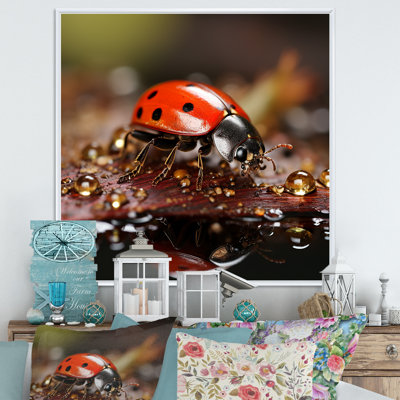 " Lively Ladybug Reflections "