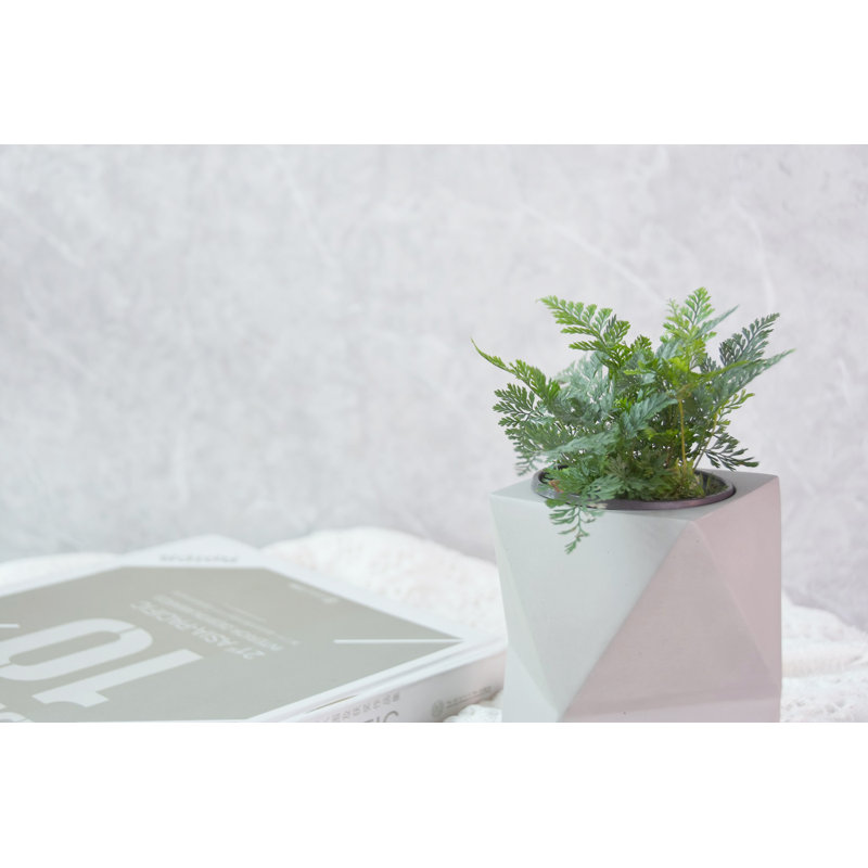 Leopold Pot Planter