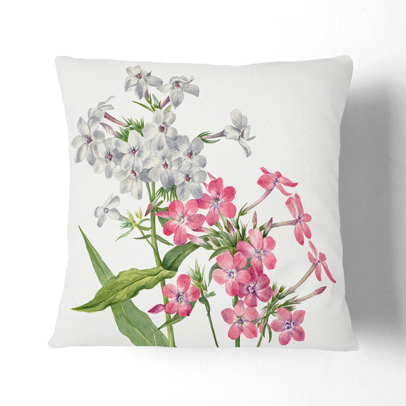 Perennial Phlox By Mary Vaux Walcott Square Throw Cushion, 55cm H x 55cm W x 20cm D