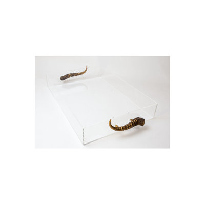 Plastic / Acrylic Tray