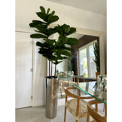 Fiddle 96'' Faux Fiddle Leaf Fig Tree in Metal Planter