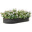 Grand lit de jardin surélevé ovale en métal pour plantes, légumes et fleurs - Noir-2117181580-2117181582
