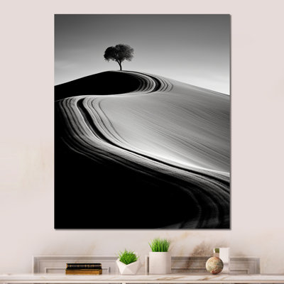 Monochromes d'arbres désertiques - Canyon et désert, impressions sur métal