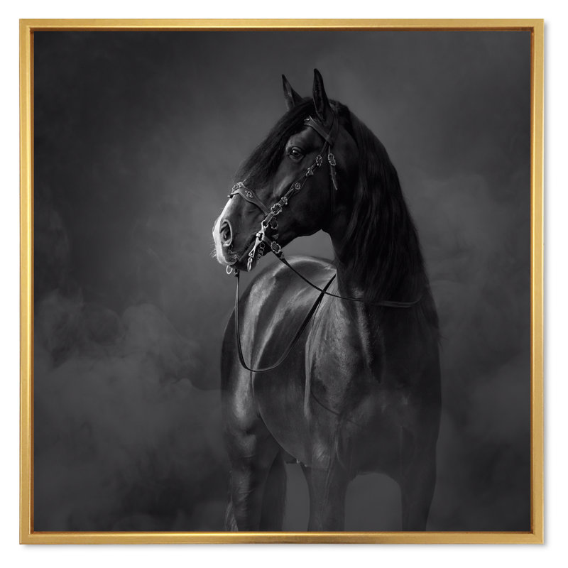 Portrait d'un cheval andalou noir - reproduction d'art sur toile traditionnelle, H 36 po x l 36 po x P 1 po