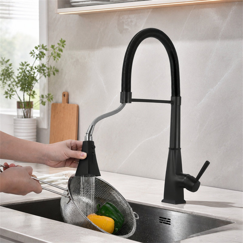 ROBOHIGH Kitchen Faucet Side Spray