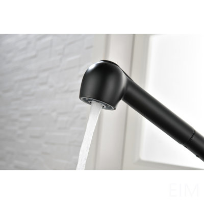 Single Handle Kitchen Sink Faucet With Pull Out Sprayer
