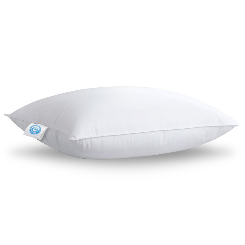 Oreiller de soutien en duvet d'oie blanche Warrenton, Très grand oreiller : 20 po x 36 po