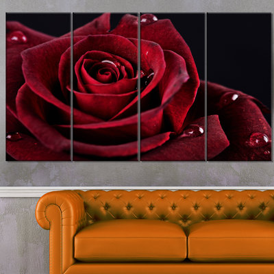 «Red Rose with Raindrops on Black», ensemble de 4 impressions sur toiles tendues