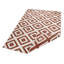 Machine Woven Terra/Cream Indoor/Outdoor Rug