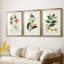 Turpin Tropical Botanicals IV - reproduction sur mesure encadrée de qualité supérieure - 3 pièces-1893982536-1893982646