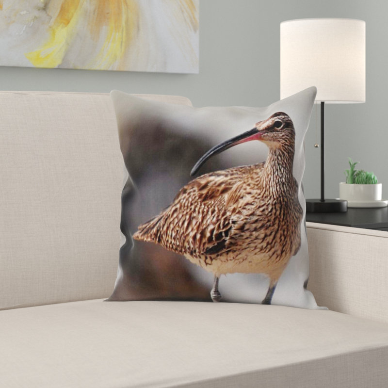 Coussin whimbrel