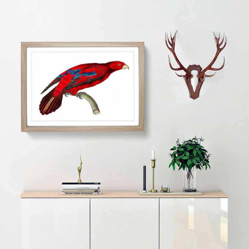 Blue-Tipped Lory by George Shaw - Picture Frame Painting, 40cm H x 60cm W x 2cm D, Oak