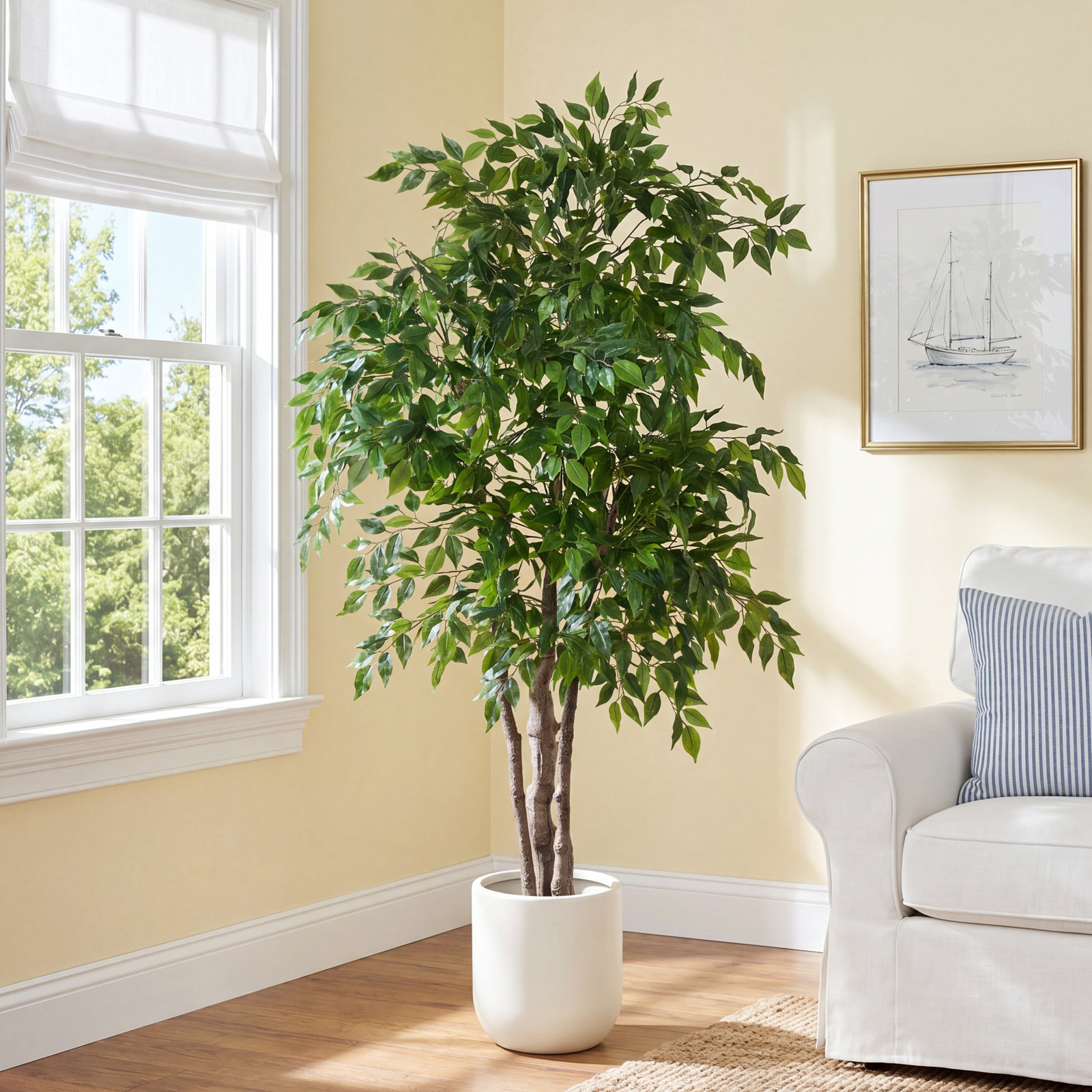 71" Ficus Tree in Planter