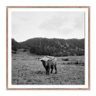 Highlander/Elk, Ca Framed Photographic Print