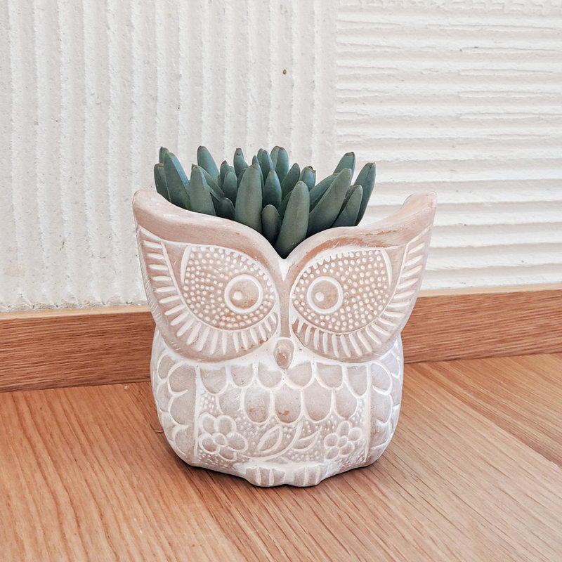 Pot de fleurs statue Big Owl