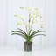 Orchid Arrangement In Glass Vase-1795696236