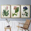 Reproduction encadrée antique de qualité florale II - prête à être accrochée-69879376-69879375