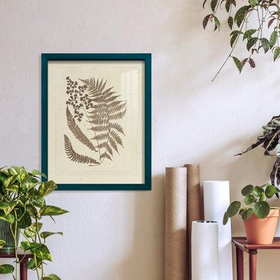 Meggan Sepia Ferns III, reproduction d'art encadrée