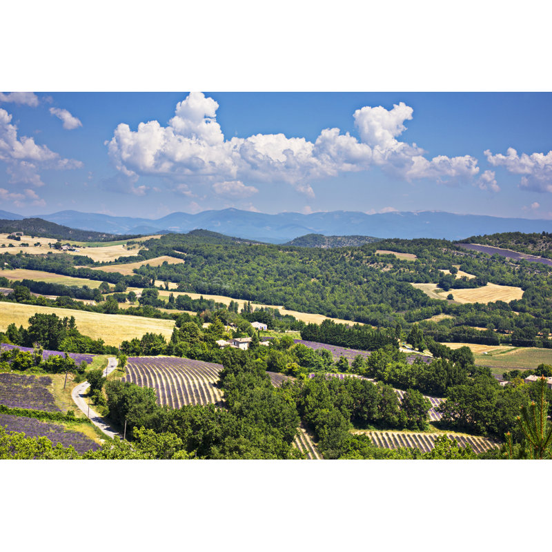 Provence Landscape - Wrapped Canvas Print, 81cm H x 122cm W x 3.8cm D