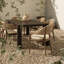Atwood Outdoor Teak Dining Armchair
