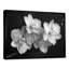 Art botanique noir et orchidées photo II - Orchidées murales-954883393-915660594