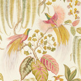 Bird of Paradise Wallpaper
