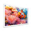 Poisson-clown rose orangé et anémone de mer II - Tableau encadré de corail côtier sous-marin-583945841-766518163