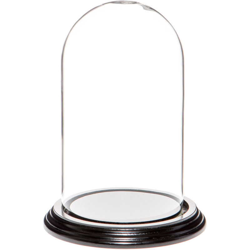 Jenett 4" x 7" Glass Display Dome Cloche, Black Wood Veneer Base
