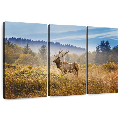 Brampt Yosemite Valley Meadow Elk