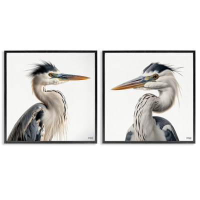 «Young Heron Birds», ensemble de 2 giclées par Roozbeh Bahramali