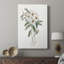 Mountain Laurel I -Gallery Wraraped Cavas-1997784736