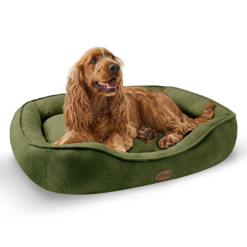 Silentnight Airmax Breathable Pet Bed with reversible cushion, Small (18cm H x 61cm W x 48cm D ), Green