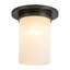 Mineral 8-in Brass Flush Mount-2016278281-2016278282