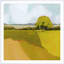Sunkissed Solitude II par Grace Popp - peinture encadrée-1272080535-1299934055