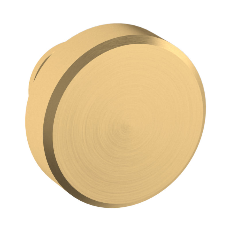 Round Brushed Brass Traditional Cabinet Knob with Mounting Hardware