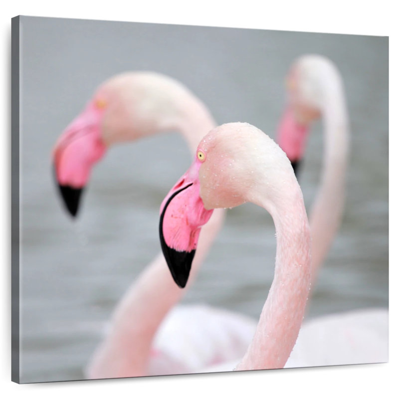 Brampt Pink Flamingos