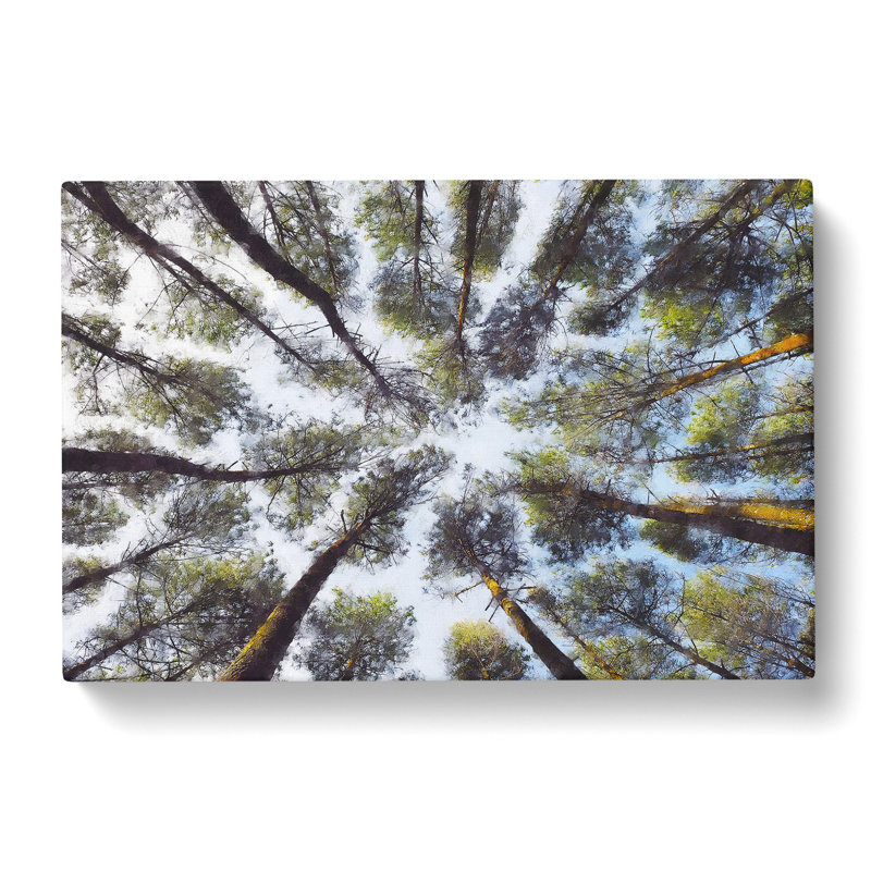Tree Tops - Wrapped Canvas Painting, 40cm H x 60cm W x 3cm D