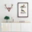 Bird Illustrations PL. 9 by Charles D' Orbigny - Single Picture Frame Painting-55457185-55457186