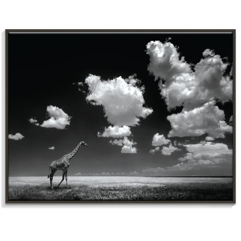 Photographers Lane - Wrapped Canvas Print, Black, 41cm H x 51cm W