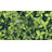 Palram - Canopia Greenhouse Trellising Kit