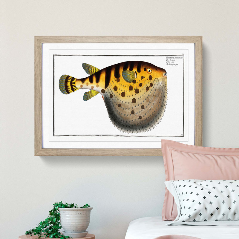 Pufferfish by M.E. Bloch - Framed Print, 48cm H x 65cm W x 2cm D, Oak Framed