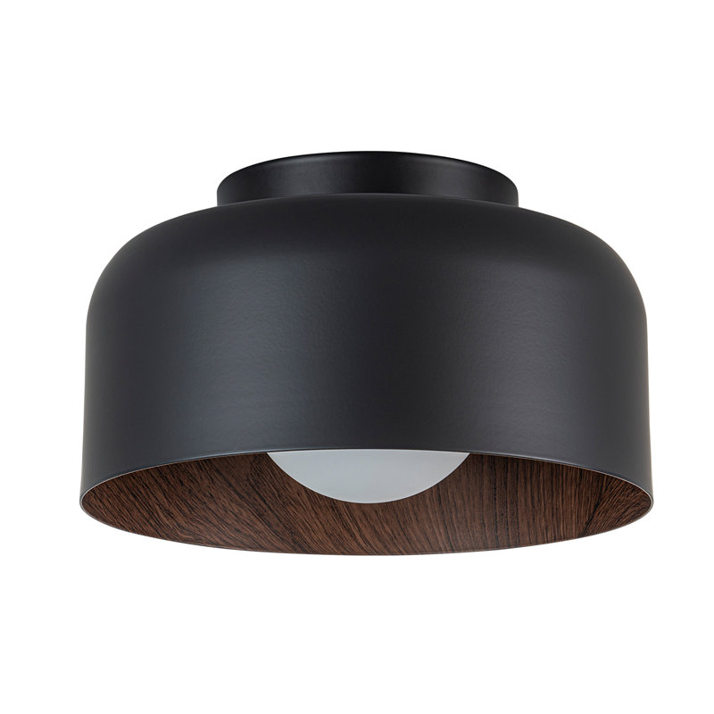 Plafonnier semi-encastré à dôme en métal 1 lumière avec diffuseur de globe en verre, Noir mat