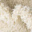 Tapis Sybil
