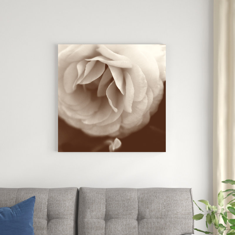«Sepia Rapture II», photographie sur toile, H 30 po x l 30 po