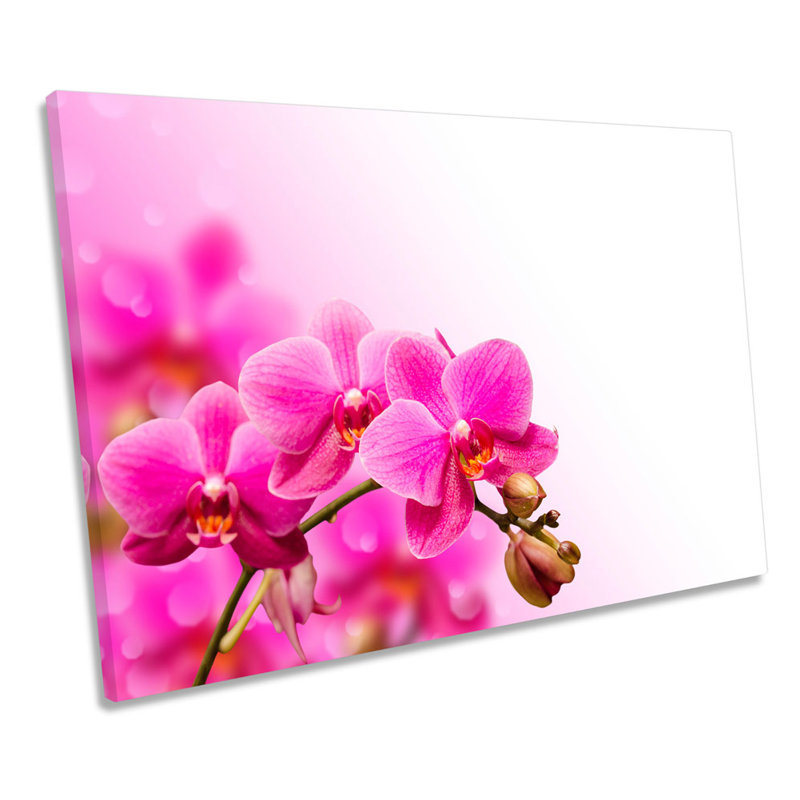Orchid Flower Floral Blossom - Wrapped Canvas Print, 30.5cm H x 45.7cm W