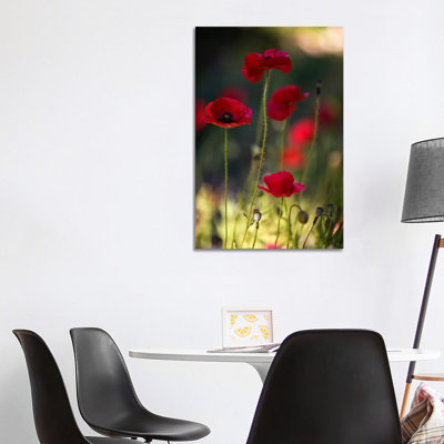 Morpheus Ascending by Geoffrey Ansel Agrons - Wrapped Canvas Print