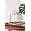 3 Piece Shell Sculpture Set