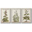 «Munting Botanicals IV», ensemble de 3 toiles encadrées-97709104-97709107