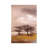 Resting Place II by Jan Eelse Noordhuis - Wrapped Canvas Painting-2054962451